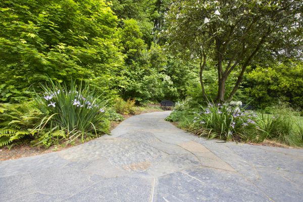 Stone Hardscape Service in Canton