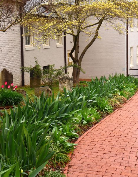 Brick Flatwork Repair in Canton